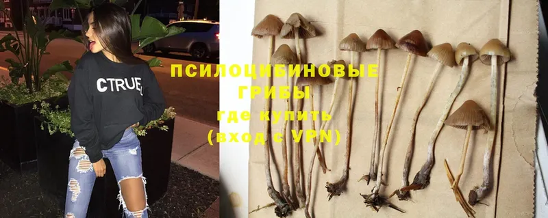 Псилоцибиновые грибы MAGIC MUSHROOMS Избербаш